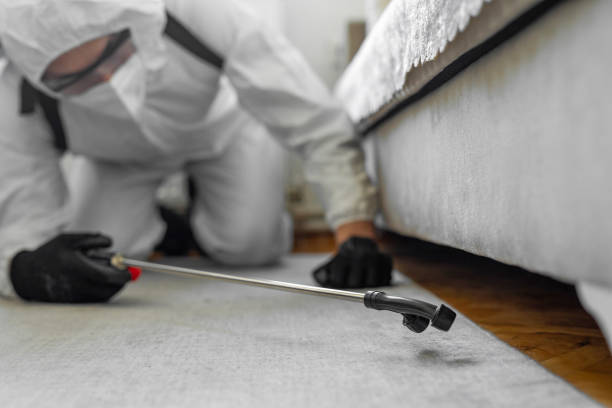 Professional Bed Bug Control technician working in Craven County County, NC
